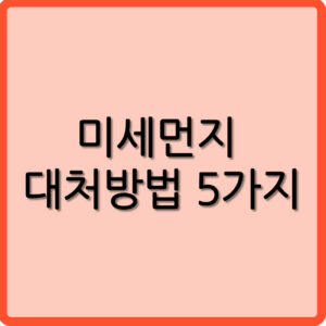 미세먼지 대처방법