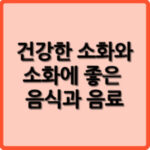 건강한 소화와 소화에 좋은 음식과 음료