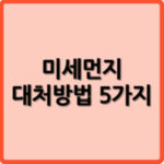 미세먼지 대처방법 5가지