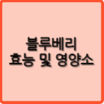 블루베리 효능 및 영양소
