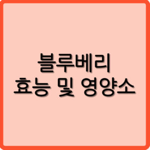 블루베리