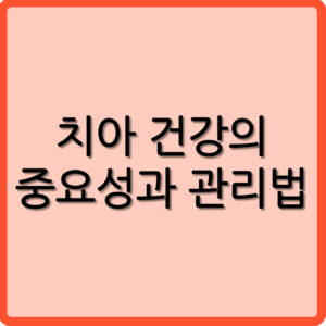 치아건강의 중요성과 관리법